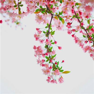 沙城斩龙手游(暂未上线)v2.2.0 安卓版